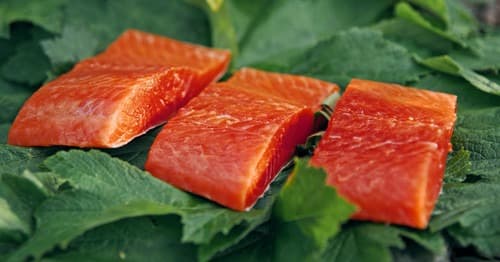 Sockeye (Red) Salmon Fillet