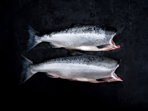 Whole Sockeye (Red) Salmon