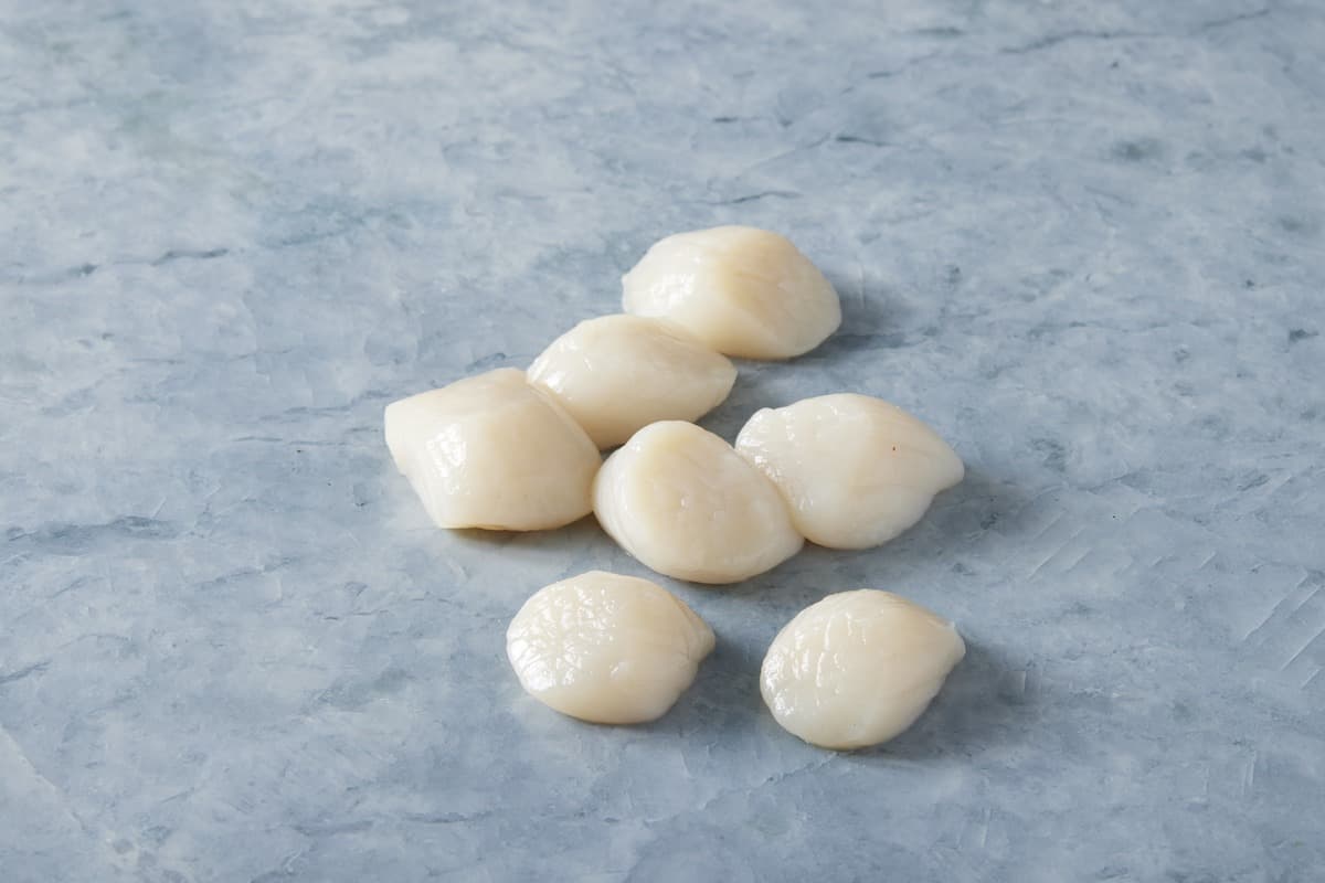 Scallops