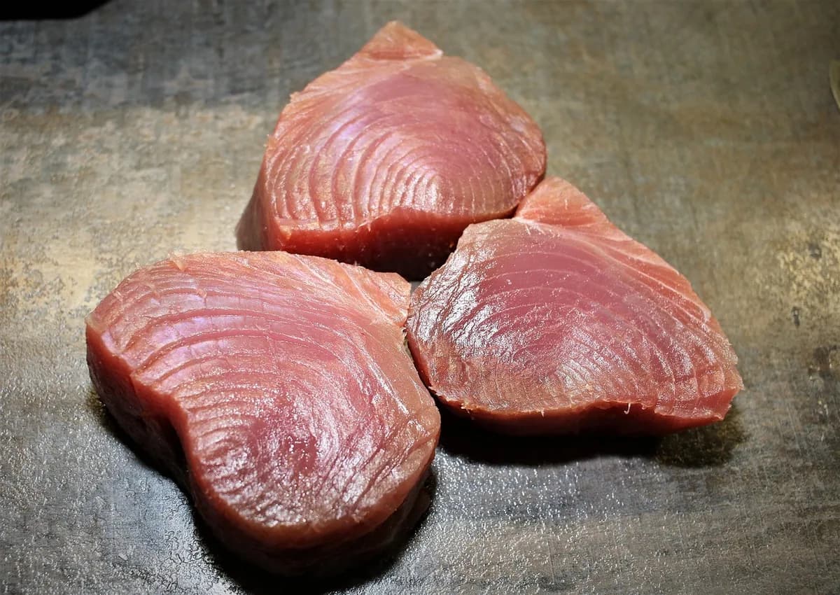 Wild Alaska Albacore Tuna — ~1 lb Fillet