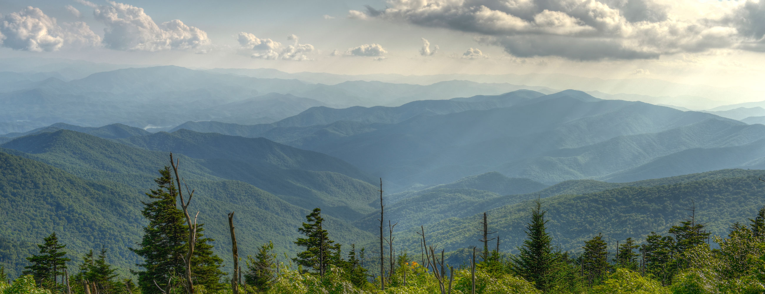 Dundy County Processors