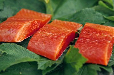 ASMI Industry, Partner & Press Use