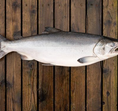 ASMI Industry, Partner & Press Use