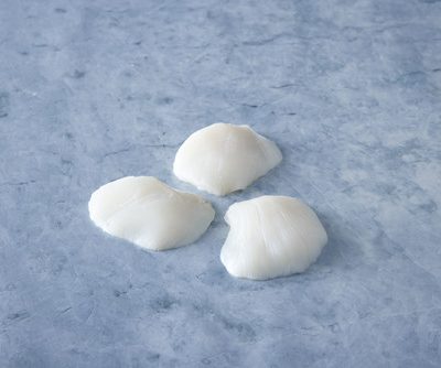 ASMI Industry, Partner & Press Use