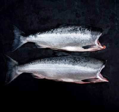 ASMI Industry, Partner & Press Use