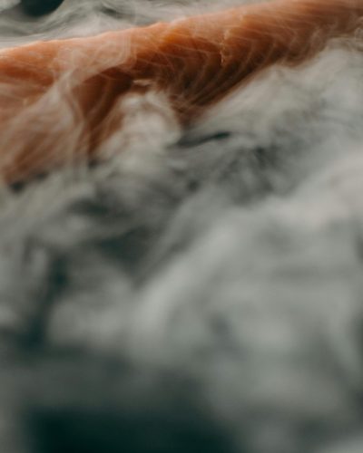 Smoked Coho/Sockeye Salmon Jerky