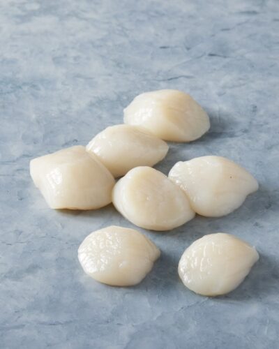Scallops
